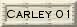Carley - 1