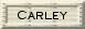 Carley Nameplate