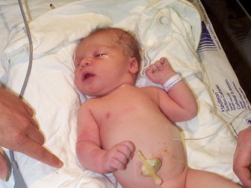 Image 1 of Jack
