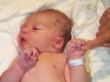 Image 2 of Jack
