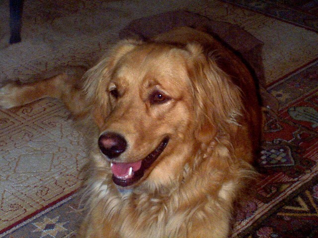 The ferocious monster-beast