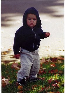 Jack - Image 48
